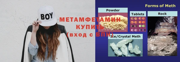 шишки Лабытнанги