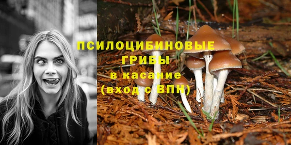 бошки Кукмор