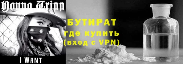 шишки Лабытнанги