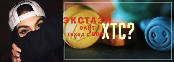 шишки Лабытнанги