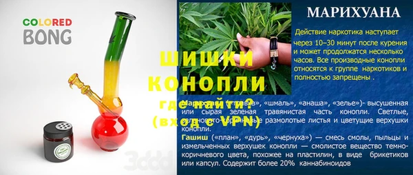 шишки Лабытнанги
