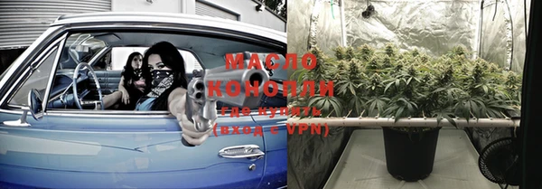 шишки Лабытнанги