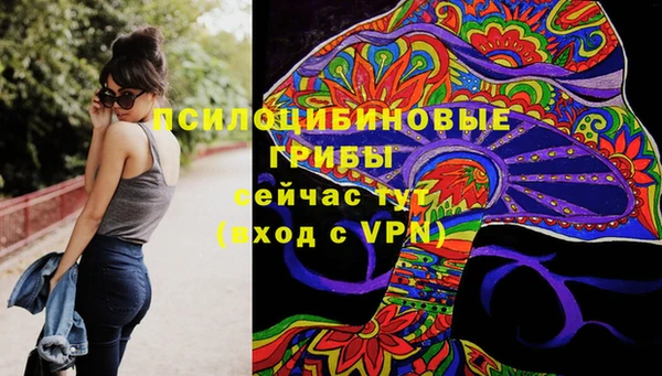 шишки Лабытнанги
