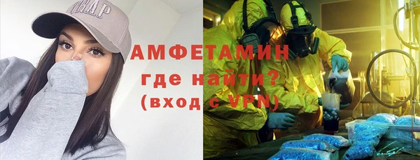 шишки Лабытнанги