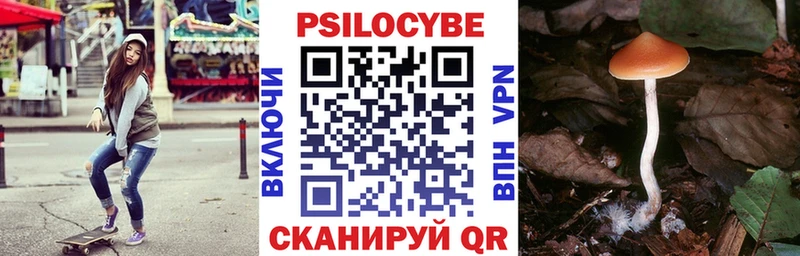 Галлюциногенные грибы мухоморы  сколько стоит  Терек 